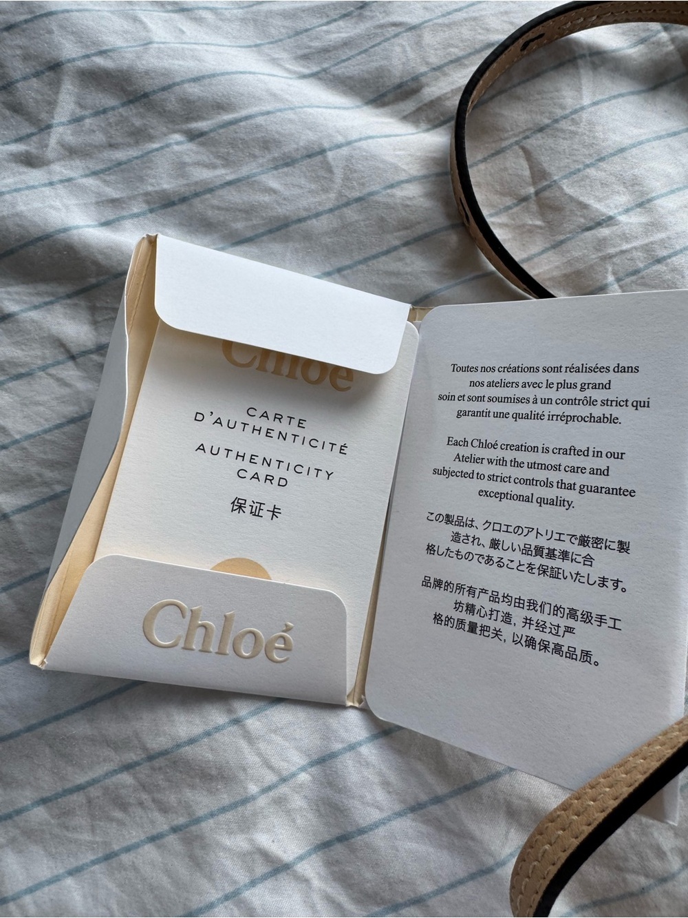 Chloé Nile small crossbody bag in a beige patent leather✨✨ - Picture 2 of 9